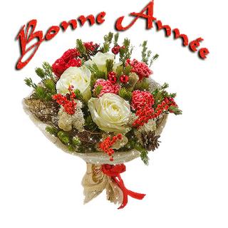 Bonne Année 2010 Bonne Année 2010