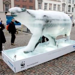 ours-polaire-glace-wwf.jpg