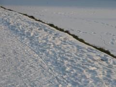 Dans les matins d'hiver... IMG_1212.JPG