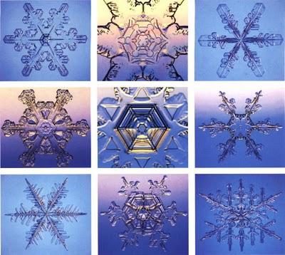 Neige; Orhan Pamuk Neige; Orhan Pamuk