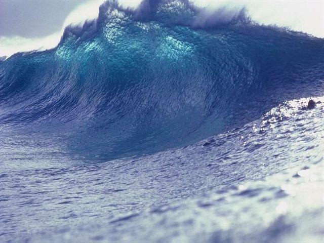 Début d’année dferlante.jpg