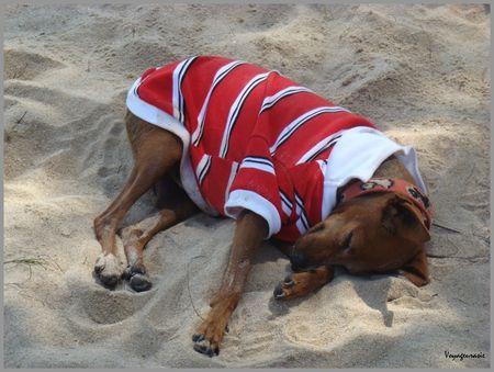 Sud Thaïlande passage à l’an 2010 lendemain