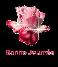 Le choco framboise pour ces 8 ans..... 25405834_p.gif