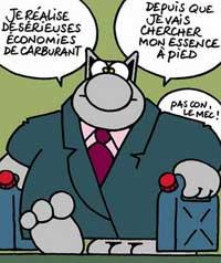 Le chat de Philippe Geluck