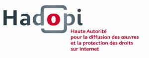 Hadopi commence fort… en piratant une typo !