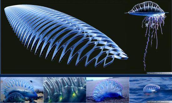 Physalia, le nettoyeur des mers selon Vincent Callebaut Vincent-Callebaut-Physalia 10