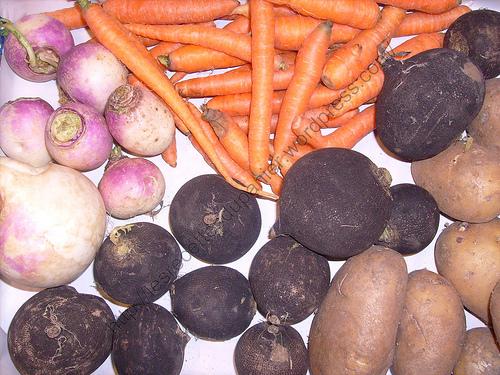 Panier semaine 2 Panier semaine 2 - 2010