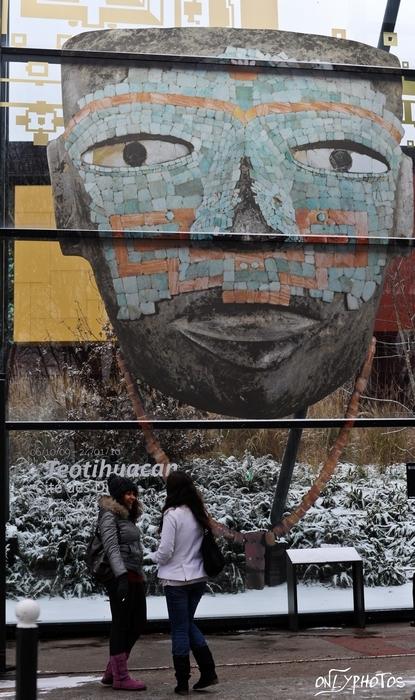 Paris sous la neige - Janvier 2010 -(suite) averse-neige-paris30