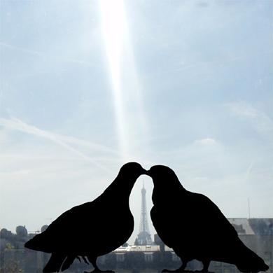 sticker design pour fenêtre Sticker French kiss pour fenêtre, 23€