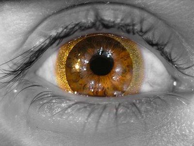 Les lentilles de contact Les lentilles de contact