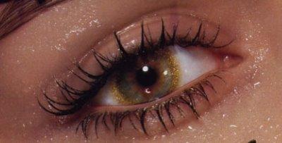 Les lentilles de contact Les lentilles de contact