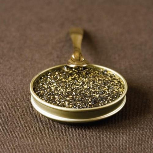 caviar-or-24-carats.jpg