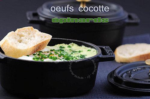 OEUFS COCOTTE TAG 33(3)