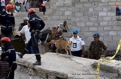 Séisme en Haïti Séisme en Haïti
