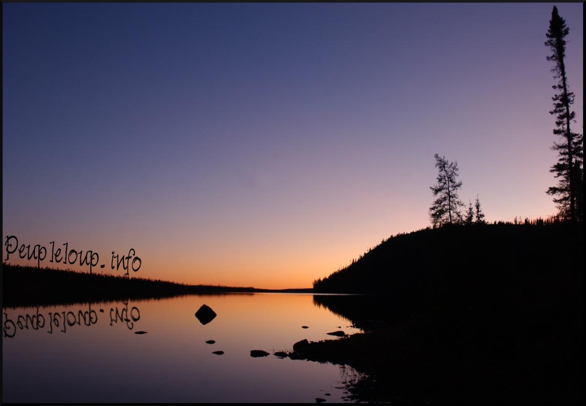 encore quelques fonds d’écran peupleloup encore quelques fonds d’écran peupleloup