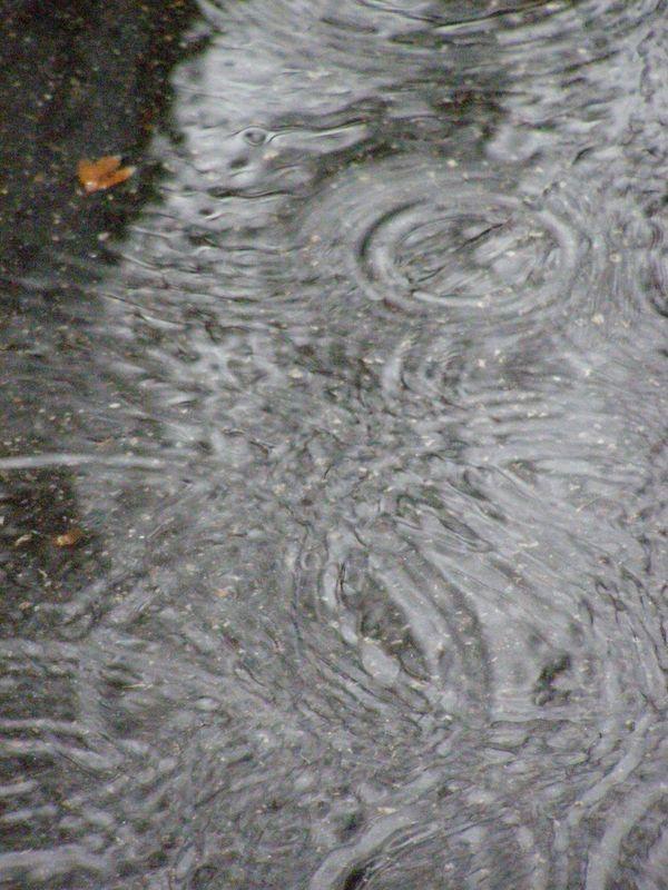 Miroirs (Dominique Grandmont)