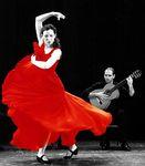 flamenco_001