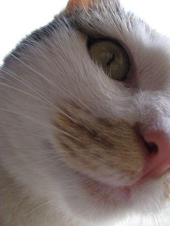 Il parait que quand on a pas d'idée pour publier quelque chose ... IMG_9814