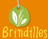 Avis Brindilles.fr, produits bio pour enfance, futures et jeunes mamans