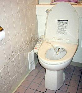 ADSBdeSANNOIS-toilettes3