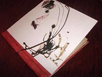 Carnet Coquelicot N°2 http://sd-2.archive-host.com/membres/images/43540579257315774/catherinep/img1_64.jpg