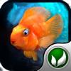 [Application IPA] iQuarium 1.41