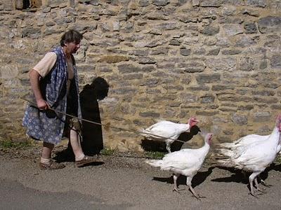 la twittferme la twittferme