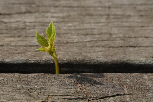 La goutte d'eau zen.jpg
