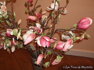 Ciel du lundi - Les fruits du magnolia