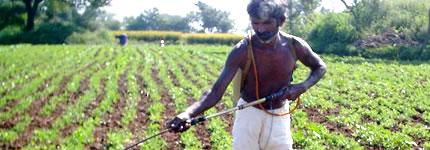 Pesticides Pesticides
