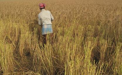 Le don à partir du bulletin de salaire