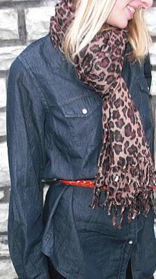My Leopard ... My Leopard ...