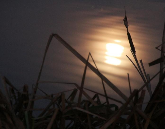 lune-sur-etang Le halo lumineux cristal de la lune (Joseph Guglielmi)