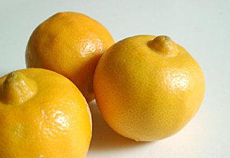 Chiboust citron-bergamote sur sablé au beurre salé Bergamote.jpg
