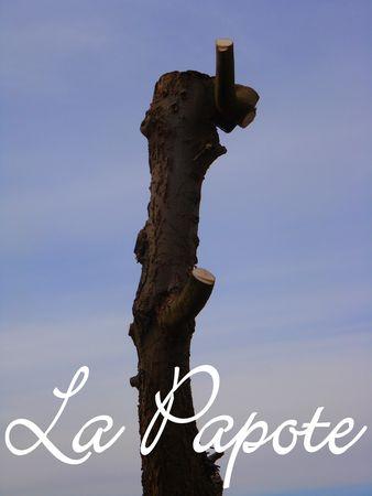 Là, je devrais être tranquille pour quelques mois... DSC01604