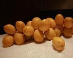 Tou bichvat 2010-5770 fruit_divers__2_
