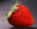 Tou bichvat 2010-5770 strawberry_fruit_240312_l