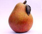 Tou bichvat 2010-5770 peach_fruit_food_280024_l