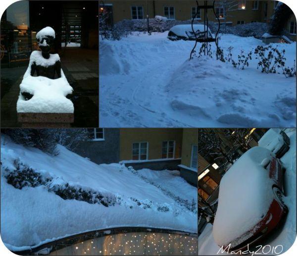 Tempête hivernale