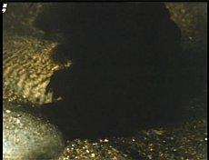 seiche.jpg