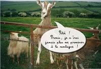 Et un coup pour la chèvre Et un coup pour la chèvre