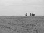 A la sortie d'une dune, à la Roche percée Lettres de Nouvelle-Calédonie : mon abécédaire