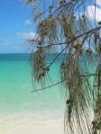 Île des Pins, la preuve Lettres de Nouvelle-Calédonie : mon abécédaire