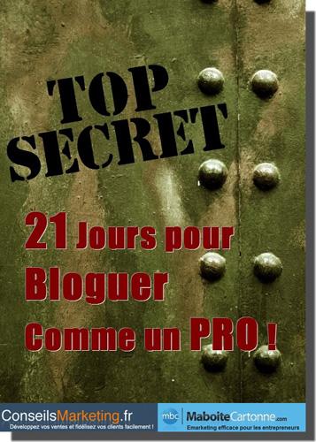 Guide Gratuit ” 21 Jours pour Bloguer comme un PRO !” ebook 21 jours pour bloguer comme un PRO