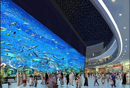 20081027 the-dubai-mall-aquarium