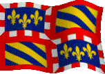 fr-bourgogne-flag1