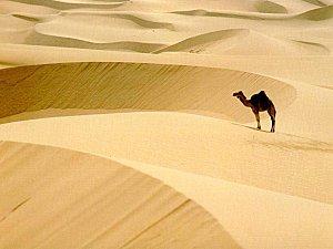 Un atelier d'écriture dans le Sahara et autres tentations desert_010.jpg