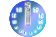 Avec Marie les enfants prient pour la paix et les vocations http://avecmarielesenfantsprientpourlapaix.com/sites/avecmarielesenfantsprientpourlapaix.com/themes/ndfavecmarie/logo.png