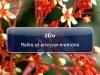 100121_2DoApp28 100121_2DoApp28