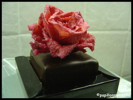 FETEZ LA SAINT VALENTIN AVEC HEDIARD Image2